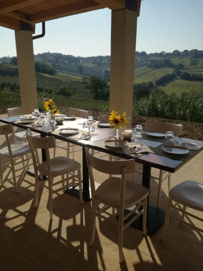 Casale Dei Cinque Colli Villa Ostra Ngoại thất bức ảnh