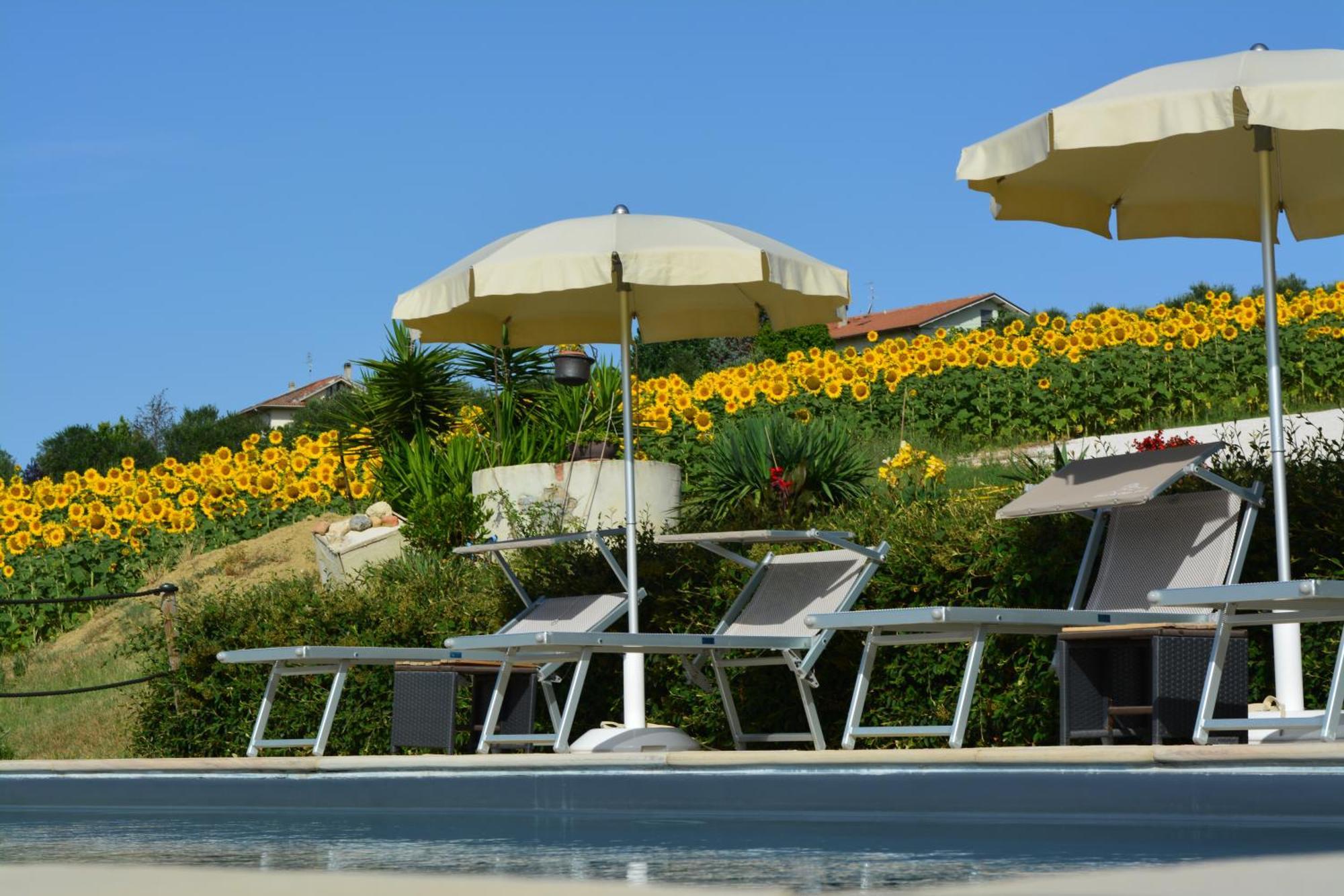 Casale Dei Cinque Colli Villa Ostra Ngoại thất bức ảnh